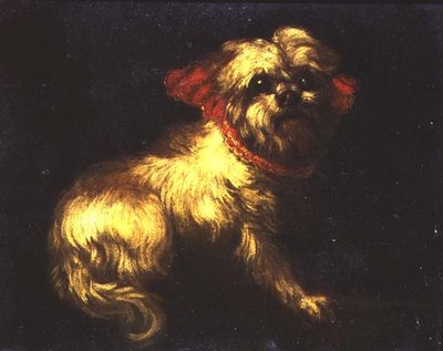 Terrier maltés de Pier Francesco Cittadini