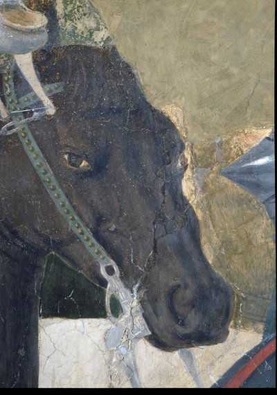 La Leyenda de la Verdadera Cruz, la Victoria de Constantino en la Batalla del Puente Milvio, detalle de la cabeza del caballo (detalle) de Piero della Francesca