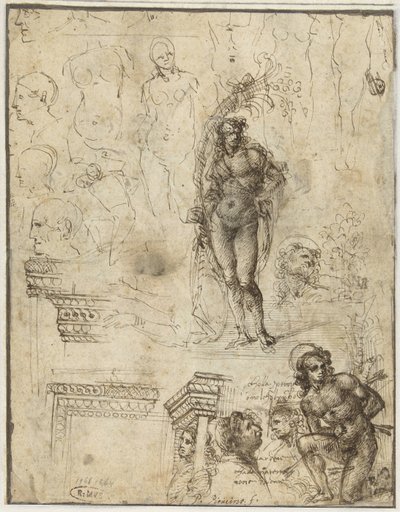 Hoja de estudio con cabezas, figuras y fragmentos arquitectónicos
Hoja de estudio con cabezas, figuras y fragmentos arquitectónicos de Piero di Cosimo (attributed to)