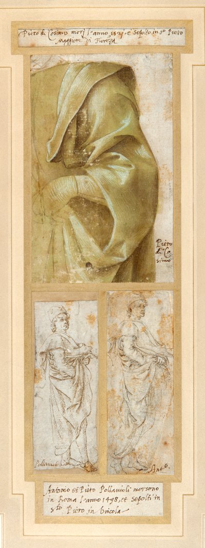 Brazo izquierdo y hombro de un hombre con pesada capa de Piero di Cosimo