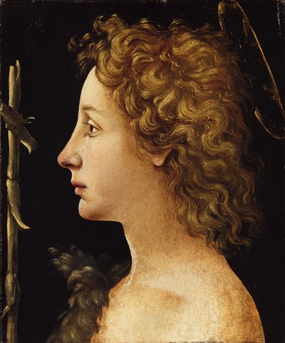 El joven San Juan Bautista de Piero di Cosimo