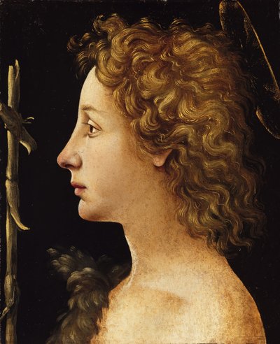 El joven San Juan Bautista, ca. 1480-82 de Piero di Cosimo