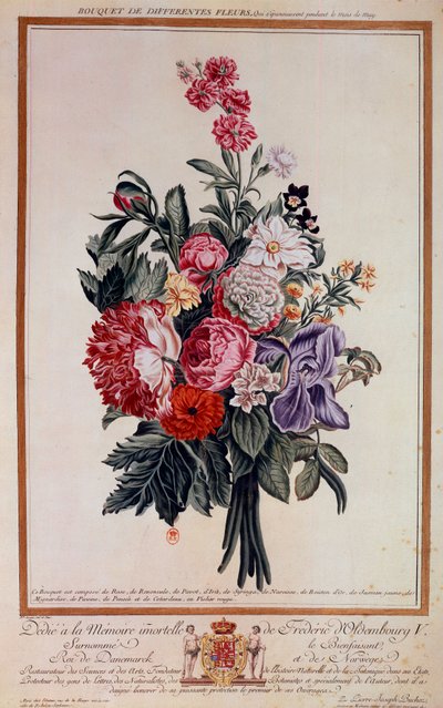 Ramo de flores mezcla de Pierre Joseph Buchoz