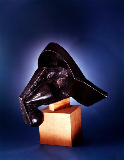 Cabeza de un caballo de Pierre Maurice Raymond Duchamp Villon