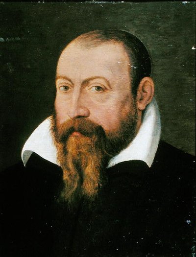 Jacques Dalechamps (1513-88) de Pierre (attr. to) Eskrich