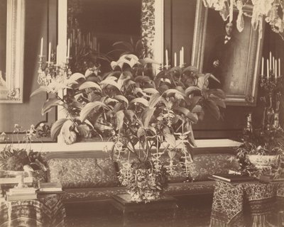 Interior, años 1860 (foto) de Pierre Ambroise Richebourg
