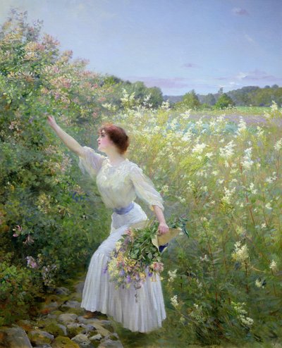 Madreselva silvestre de Pierre Andre Brouillet