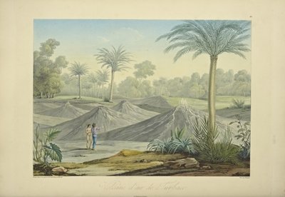 Volcanes de Aire de Turbaco, grabado por Bouquet, ilustración de 
