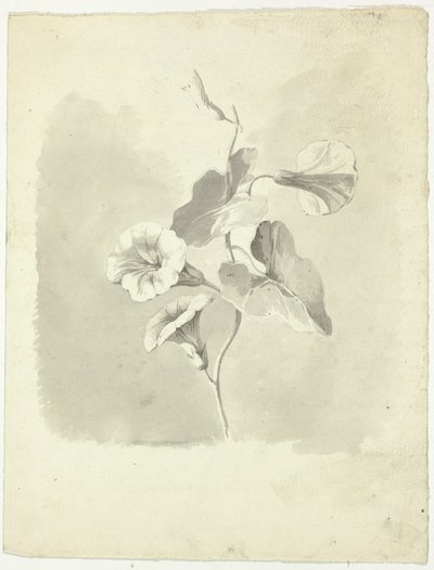 Glorias de la mañana de Pierre Antoine Mongin