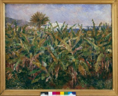 Campo de bananeros de Pierre Auguste Renoir