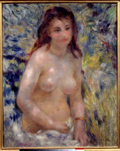Estudio de torso, efecto de luz solar de Pierre Auguste Renoir