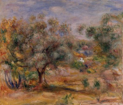 Olivo en Les Collettes, c.1910-15 (óleo sobre lienzo) de Pierre Auguste Renoir