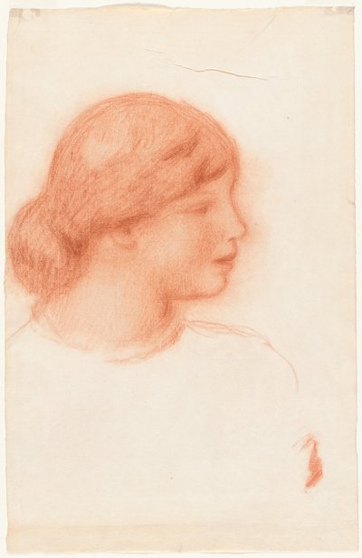 Profile of a Young Woman de Pierre Auguste Renoir