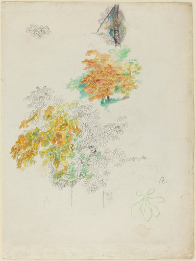 Estudios de árboles, 1886 de Pierre Auguste Renoir