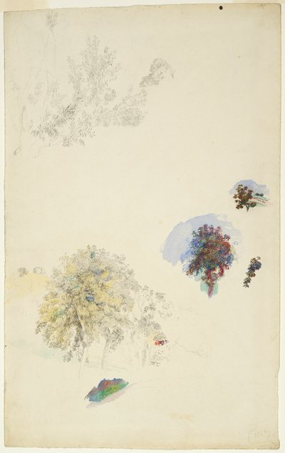 Estudios de árboles y follaje de Pierre Auguste Renoir