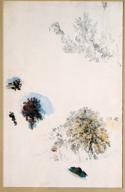Estudios de árboles de Pierre Auguste Renoir