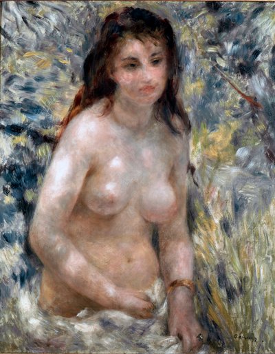 Torso, efecto del sol de Pierre Auguste Renoir