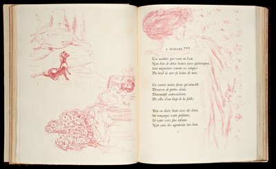 Ilustración de 