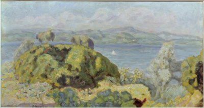 Paisaje o buen tiempo tormentoso de Pierre Bonnard