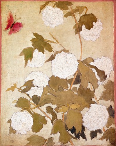 Flores de bolas de nieve de Pierre Bonnard