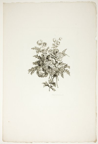 Ramo con peonías, de la colección de diferentes ramos de flores, inventado y dibujado por Jean Pillement y grabado por P. C. Canot de Pierre Charles Canot