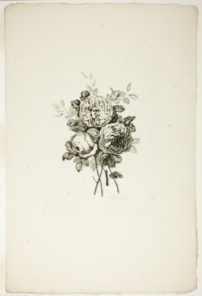 Ramo con rosas, de la Colección de diferentes ramos de flores, inventado y dibujado por Jean Pillement y grabado por P. C. Canot de Pierre Charles Canot