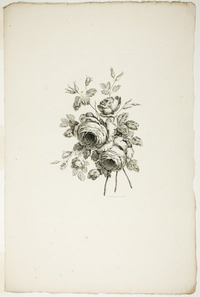 Ramo con rosas, de la Colección de diferentes ramos de flores, inventado y dibujado por Jean Pillement y grabado por P. C. Canot de Pierre Charles Canot