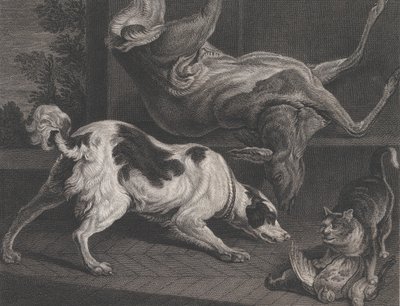 Perros y Naturaleza Muerta, 1778 de Pierre Charles Canot