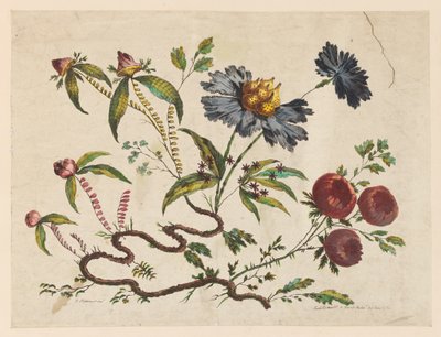 Estampa, Ramas de flores, de "Recueil de Differentes Fleurs de Fantaisie Dans le Goût Chinois". de Pierre Charles Canot