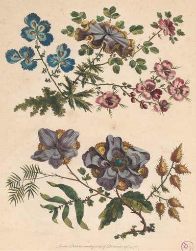 Dos ramilletes de flores imaginarias de Pierre Charles Canot