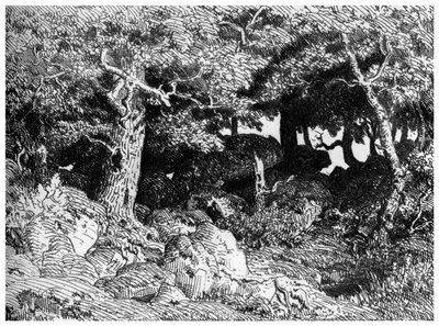 Les Chenes de Roche de Pierre Etienne Theodore Rousseau