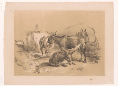 Estudio de tres burros
Estudios sobre animales de Cooper (título de la serie)
Études d