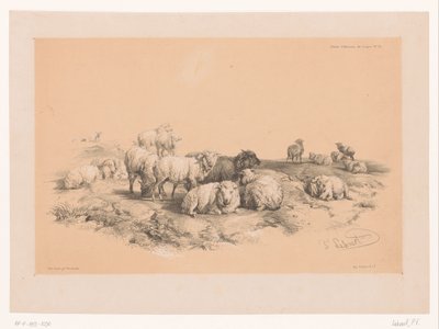Estudio de un rebaño de ovejas
Estudios sobre animales de Cooper (título de la serie)
Études d