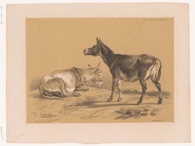 Estudio de dos burros
Estudios sobre animales de Cooper (título de la serie)
Études d