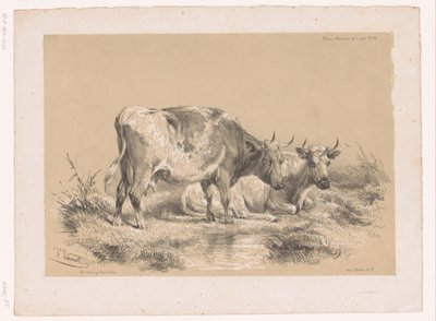 Estudio de dos vacas
Estudios sobre animales de Cooper (título de la serie)
Études d