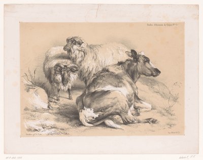 Estudio de dos ovejas y una vaca
Estudios sobre animales de Cooper (título de la serie)
Études d