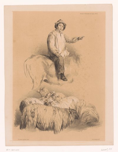 Estudios de un pastor y un rebaño de ovejas
Estudios sobre animales de Cooper (título de la serie)
Études d