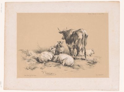 Estudios de cuatro ovejas y una vaca
Estudios sobre animales de Cooper (título de la serie)
Études d
