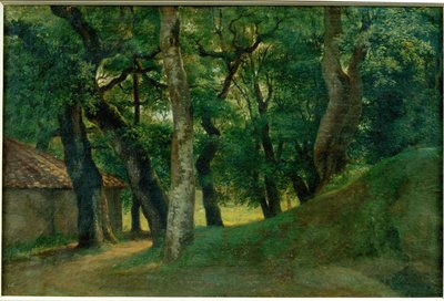 Foret de la Villa Borghese - Bosque de la Villa Borghese ... de Pierre Henri de Valenciennes