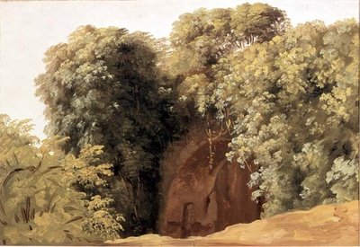 Ruinas de un arco con racimos de hierba de Pierre Henri de Valenciennes