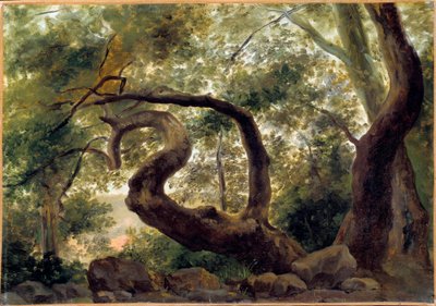 Bajo el bosque, árboles con ramas retorcidas de Pierre Henri de Valenciennes