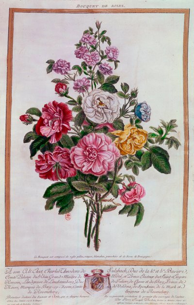 Ramo de rosas. Litografía de Pierre Joseph Buchoz (1731-1807) siglo XVIII París, B.N. de Pierre Joseph Buchoz