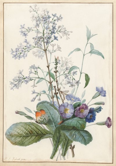 Un ramo de flores con insectos de Pierre Joseph Redouté