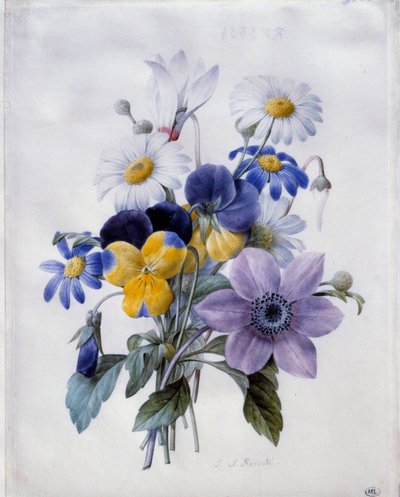 Un ramo de flores: clemátide, pensamiento, margarita y ciclamen de Pierre Joseph Redouté