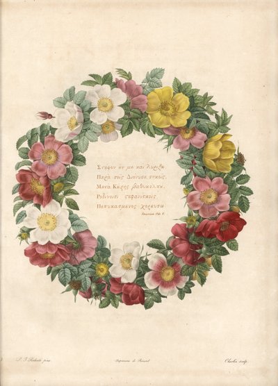 Corona de rosas con un lema griego - Aguafuerte de Charlin, basada en una ilustración de Pierre Joseph Redoute (1759-1840), de Les Roses de Pierre Joseph Redouté