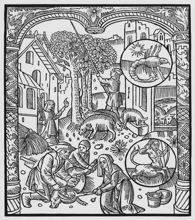 Noviembre, matanza del cerdo y cosecha de bellotas, Escorpio, ilustración del 