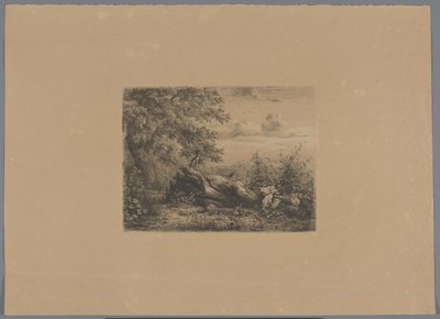 Árbol caído en la linde de un bosque
Cinco pruebas de grabado (título de la serie) de Pierre Louis Dubourcq (workshop of)