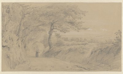 Paisaje en Jersey de Pierre Louis Dubourcq