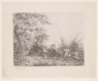Árbol caído al borde del bosque Cinco pruebas de aguafuerte (título de la serie) de Pierre Louis Dubourcq