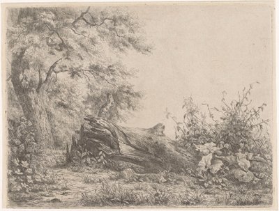 Árbol caído al borde del bosque Cinco pruebas de aguafuerte (título de la serie) de Pierre Louis Dubourcq